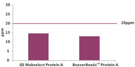 抗体纯化磁珠 BeaverBeads™ Magrose Protein A/G Antibody Purification